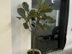 -WEGYMER健萌健身(雅颂居馆)
