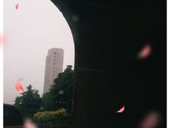 -南京维景国际大酒店(南京博物院店)