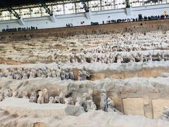 -秦始皇帝陵博物院(兵马俑)