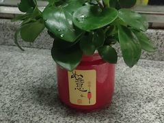 -广州市红十字会医院(总院)