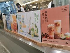 -森茶(湛江万达店)
