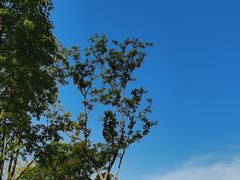 -复旦大学附属眼耳鼻喉科医院(浦江院区)
