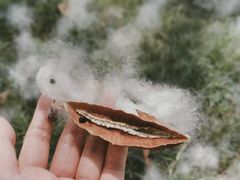 -深圳图书馆-停车场