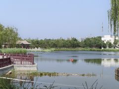 -西海子公园