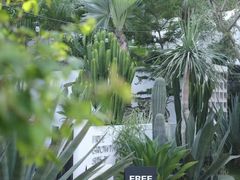 -自由生长植物工作室(深港花卉中心店)