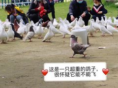 -南通洲际绿博园