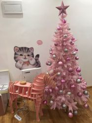 -Lab Season惜辰颜究社