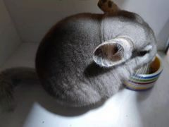 -龙猫仔乐园(惠福东路店)