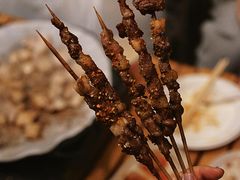-大屏嶂森林公园
