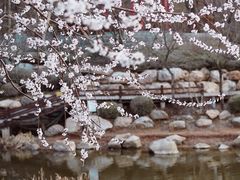 -大连植物园