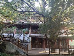 -潜山国家森林公园