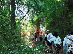 -少华山国家森林公园