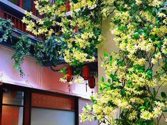 -南京市民俗博物馆(甘熙故居)