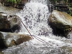 -素山寺森林公园