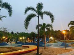 -宝安西湾红树林湿地公园