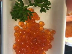 三文鱼籽-德川家日本料理(中关村寰太大厦店)