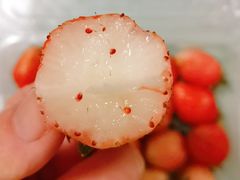 -浦东食品城(华诚大厦店)