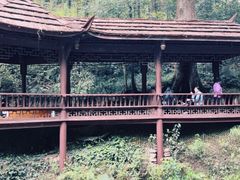 -青城山