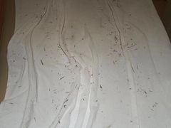 -海乐健康美食·SPA水疗会(水都假日酒店)
