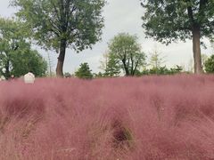 -汉长安城未央宫国家考古遗址公园