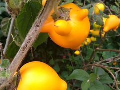 -优游吧斯邹族文化部落