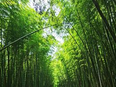 -同里国家湿地公园