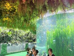 -海合安成都极地海洋公园