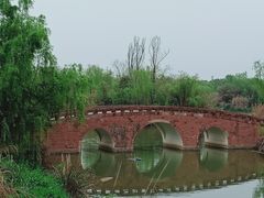-白鹭湾湿地公园