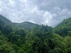 -西双版纳原始森林公园