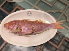 -吴记富苑(朝阳店)