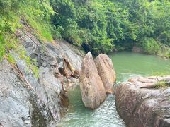 -广州白江湖森林公园