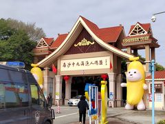 -大湾区中央湿地公园-十九涌