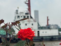 -龙美术馆(西岸馆)