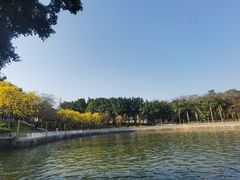 -仙湖旅游度假区