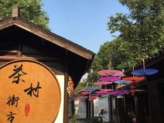 -天目湖山水园