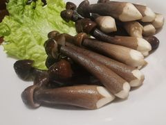 鸡枞菌-十六蒲(桂林路店)