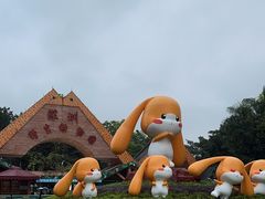 -深圳野生动物园