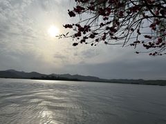 -西湖游船