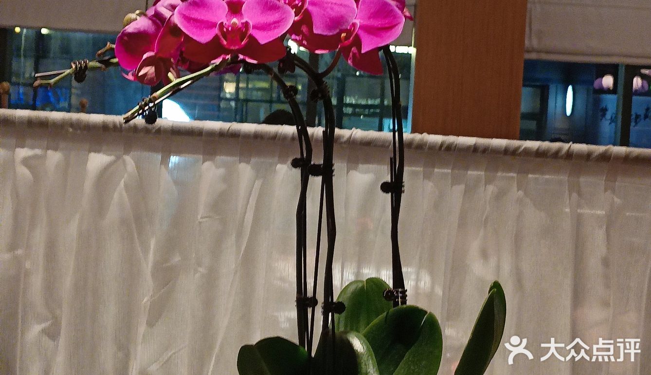 环境超好的小资粤菜馆