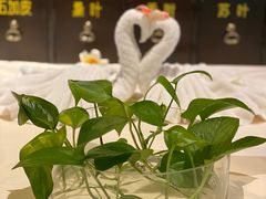 -春晖园度假酒店温泉