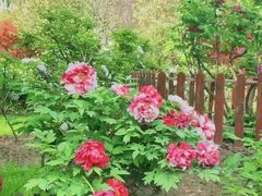 -江南大学(蠡湖校区)