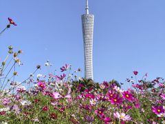 -二沙岛艺术公园