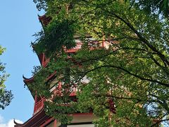 -绳金塔