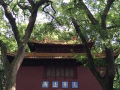 -普陀山风景名胜区-法雨禅寺