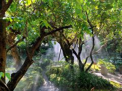 -Chom Cafe and Restaurant