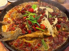 -老板恋上鱼(高新万达店)