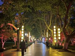 -杭州黄龙洞