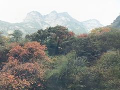 -少华山国家森林公园