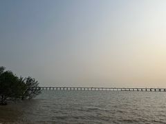 -宝安西湾红树林湿地公园