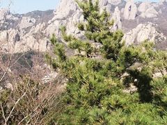 -崂山九水游览区